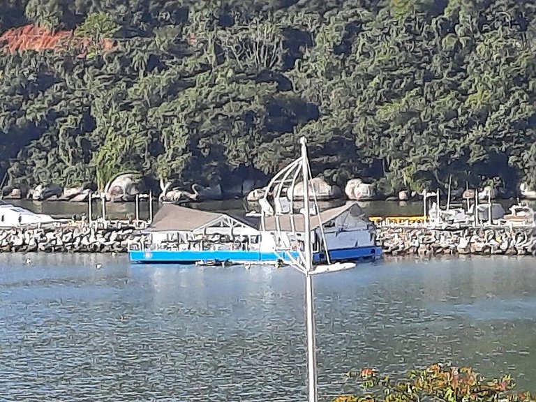 Apto 3 suítes vista incrível orla BC 50 m da praia